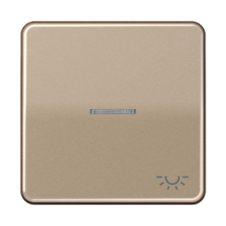 Клавиша Jung CD серия бронза 1-я с/п с символом &quot;ОСВЕЩЕНИЕ&quot; CD590KO5LGB