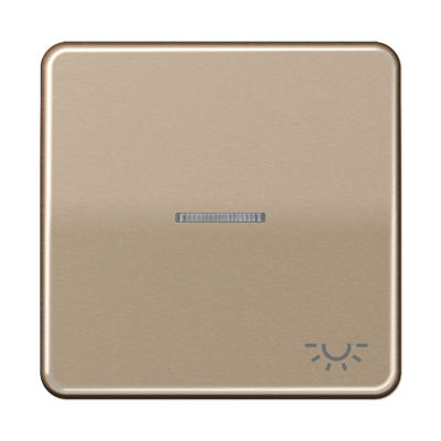 Клавиша Jung CD серия бронза 1-я с/п с символом &quot;ОСВЕЩЕНИЕ&quot; CD590KO5LGB