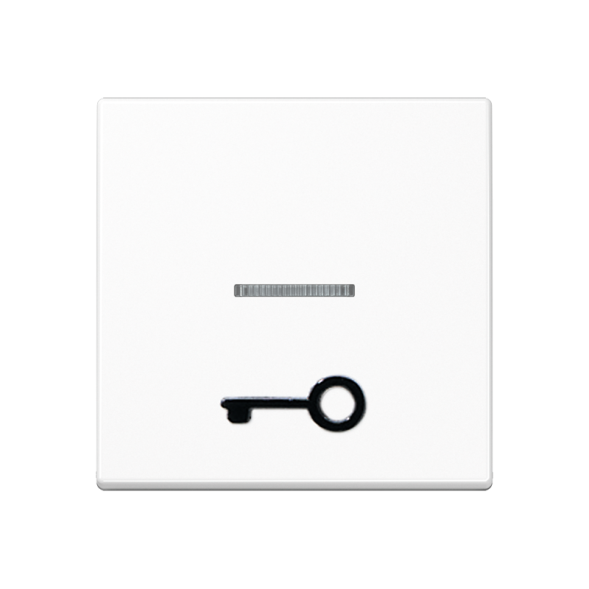 Клавиша Jung A серия белая с окошком, символ &quot;ключ&quot; A590T1KOWW