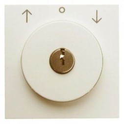 Центральная панель Berker R.1 белый, с блеском с замком к жалюзийному замочному выключателю 10828982