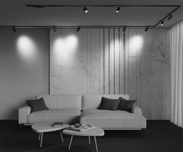 Трековый светильник Technical TR243-4-18WTW-DD2-B