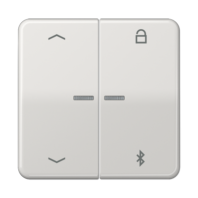 Таймер Jung CD серия светло-серый универсальный Bluetooth «стрелки» CD1751PBTLG