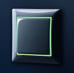 Декоративная накладка ABB Basic 55 Флуоресцентный 2CKA001726A0228 2516-907-507