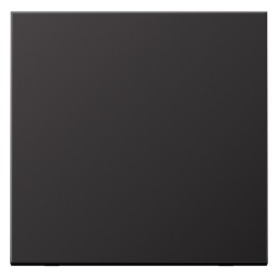 AL2990D А 500 Одинарная клавиша для балансирных механизмов выключателей Jung A серия