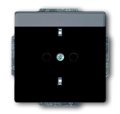 Розетка ABB Future антрацит SCHUKO 16А 250В с полем для надписи 2CKA002011A3802 20 EUN-81