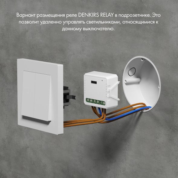 Двухканальное Wi-Fi реле-диммер Denkirs RL1004-DM