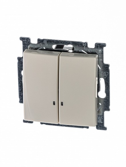 Механизм переключателя ABB Basic 55 слоновая кость двухклавишный 1-полюсного выключателя с клавишей с линзой подсветки с неоновой лампой 2CKA001012A2157 2006/5 UCGL-92-507