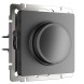 Диммер (графит матовый) Werkel W1142064