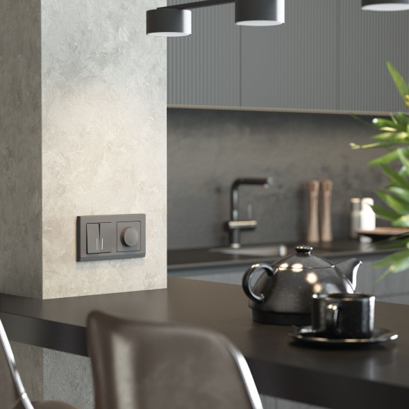 Диммер (графит матовый) Werkel W1142064