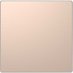 Заглушка Merten D-Life шампань MTN4075-6051