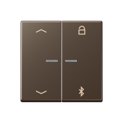 Таймер универсальный Jung A серия мокко Bluetooth «стрелки» A1751PBTMO