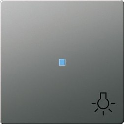 Клавиша Gira E22 Сталь с пиктограммой &quot;свет&quot; и контрольным окном 028520