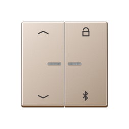 Таймер универсальный Jung A серия шампань Bluetooth «стрелки» A1751PBTCH