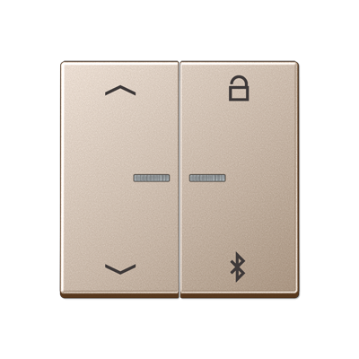 Таймер универсальный Jung A серия шампань Bluetooth «стрелки» A1751PBTCH