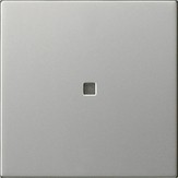 5368600 Накладка управления System 3000 BT Нержавеющая сталь Standard 55 Gira