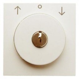 Центральная панель Berker R.1 белый, с блеском с замком к жалюзийному замочному выключателю 10818982