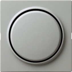 Клавиша Gira S-color Серый одинарная 029642