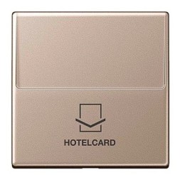 CARD-накладка Jung A серия Champagner A590CARDCH