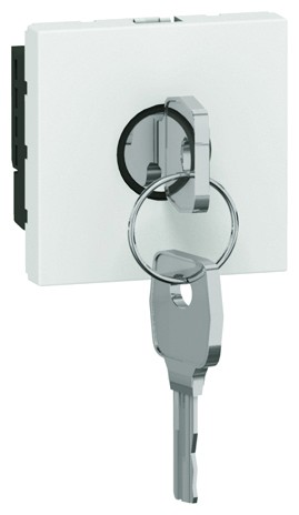 Выключатель Legrand Mosaic с ключом для B.A.E.S. 076630