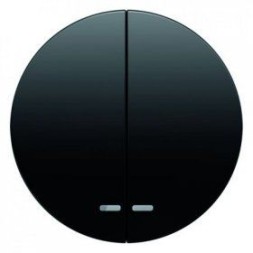 Клавиша Berker R.3 белый глянцевый двойнаяс двумя линзами 16272045