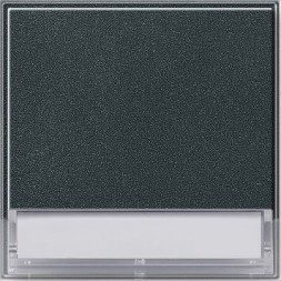 Клавиша Gira TX44 Антрацит с полем для надписи 37*47 мм 067667