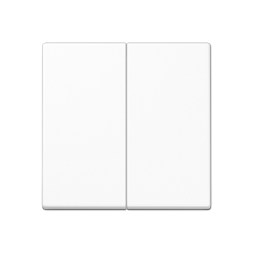 Центральная плата Jung A серия белый 2 группы стандарт для LB вставки «освещение» A1702WW