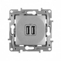 Зарядное устройство Legrand Etika алюминий с двумя USB разьемами 240В/5В 2400мА 672494