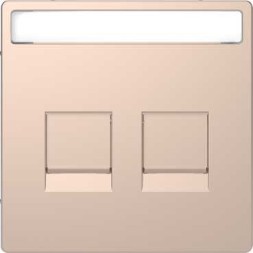 Центральная накладка Merten D-Life шампань для 2-х модульных разъемов MTN4564-6051