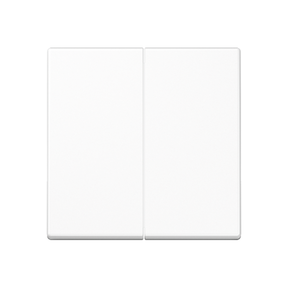 Клавиша Jung A серия Белый двойная A595WW