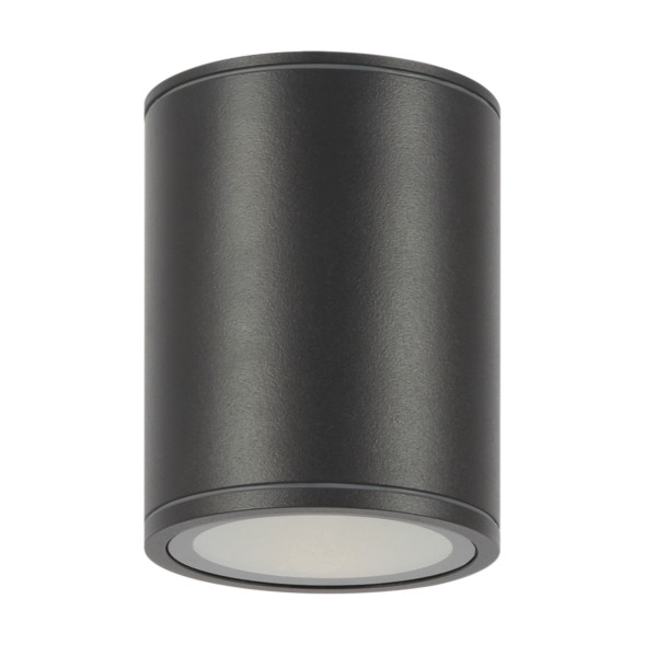 Уличный потолочный светильник Outdoor O306CL-L12GF