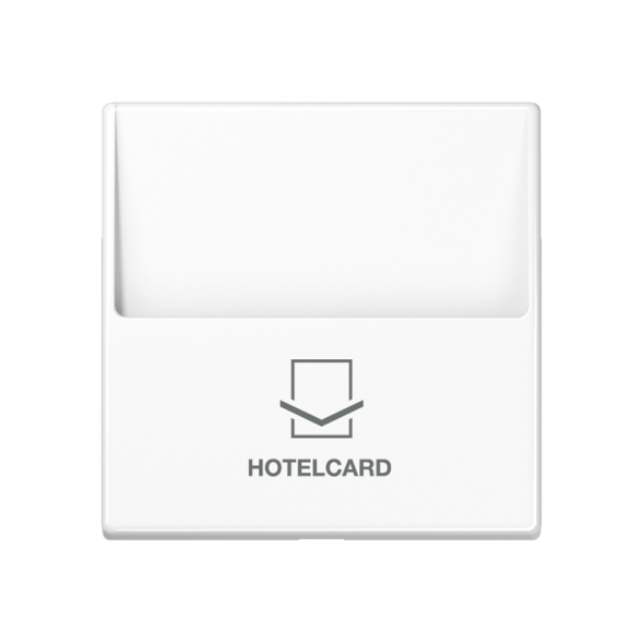 Накладка Jung A серия белая карта выключения A590CARDWW