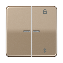 Таймер Jung CD серия бронза универсальный Bluetooth CD1751BTGB