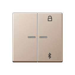 Таймер универсальный Jung A серия шампань Bluetooth A1751BTCH