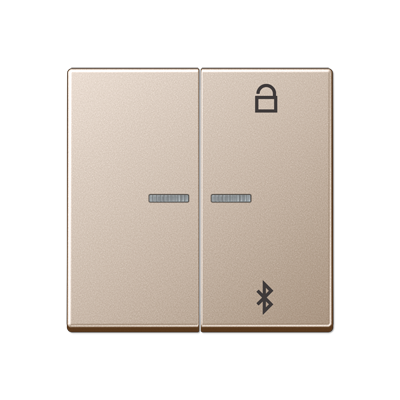 Таймер универсальный Jung A серия шампань Bluetooth A1751BTCH