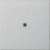 536826 Накладка управления System 3000 BT Алюминий Standard 55 Gira