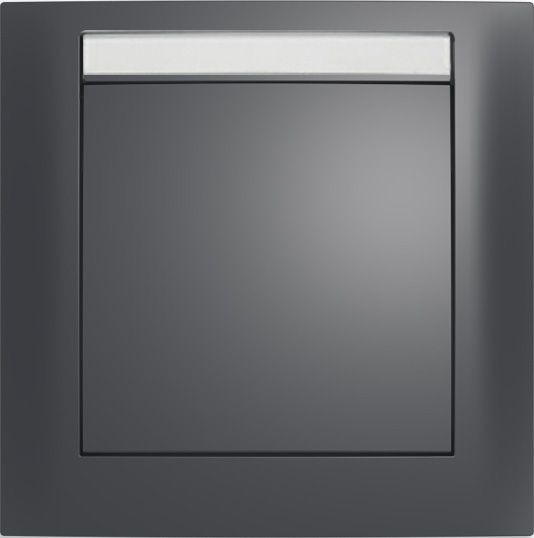 Рамка Berker S.1 Антрацит с блеском с полем для надписей 1 пост 10119969