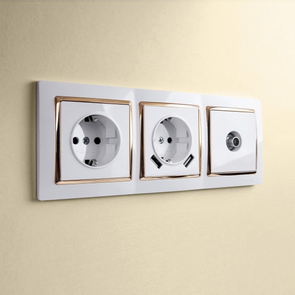 Розетка с заземлением, шторками и USBх2 (белая) Werkel W1171501