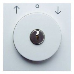 Центральная панель Berker R.1 полярная белизна, матовый с замком к жалюзийному замочному выключателю 10811909