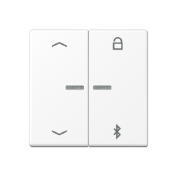 Таймер универсальный Jung A серия белоснежный матовый Bluetooth «стрелки» A1751BFPBTWWM