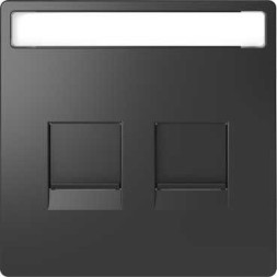 Центральная накладка Merten D-Life антрацит для 2-х модульных разъемов MTN4564-6034
