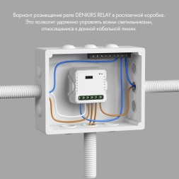 RL1001-SM Одноканальное Wi-Fi реле-выключатель 1 x 2300 Вт / 250 Вт для LED