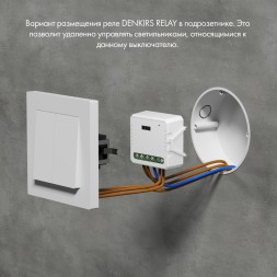 RL1001-SM Одноканальное Wi-Fi реле-выключатель 1 x 2300 Вт / 250 Вт для LED