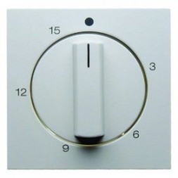 Центральная панель Berker R.1 полярная белизна, матовый с регулировкой для механических таймеров 16321909