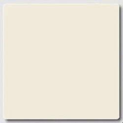 Клавиша Jung ECO Profi Бежевый 1-я EP490