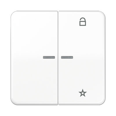 Центральная плата Jung CD серия белая универсальная CD1701WW