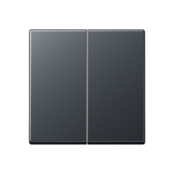 Центральная плата Jung A серия антрацит 2 группы стандарт для LB вставки «освещение» A1702BFANM