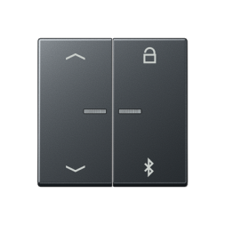 Таймер универсальный Jung A серия матовый антрацит Bluetooth «стрелки» A1751BFPBTANM