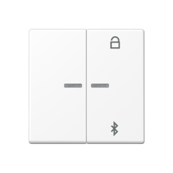 Таймер универсальный Jung A серия белоснежный матовый Bluetooth A1751BFBTWWM