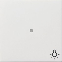 Клавиша Gira F100 Белый с пиктограммой &quot;Свет&quot; и контрольным окошком 0674112