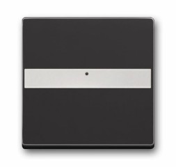 Клавиша ABB Future антрацит с полем для надписи со световодом для выключателей/переключателей/кнопок 2CKA001731A1552 1764 NLI-81